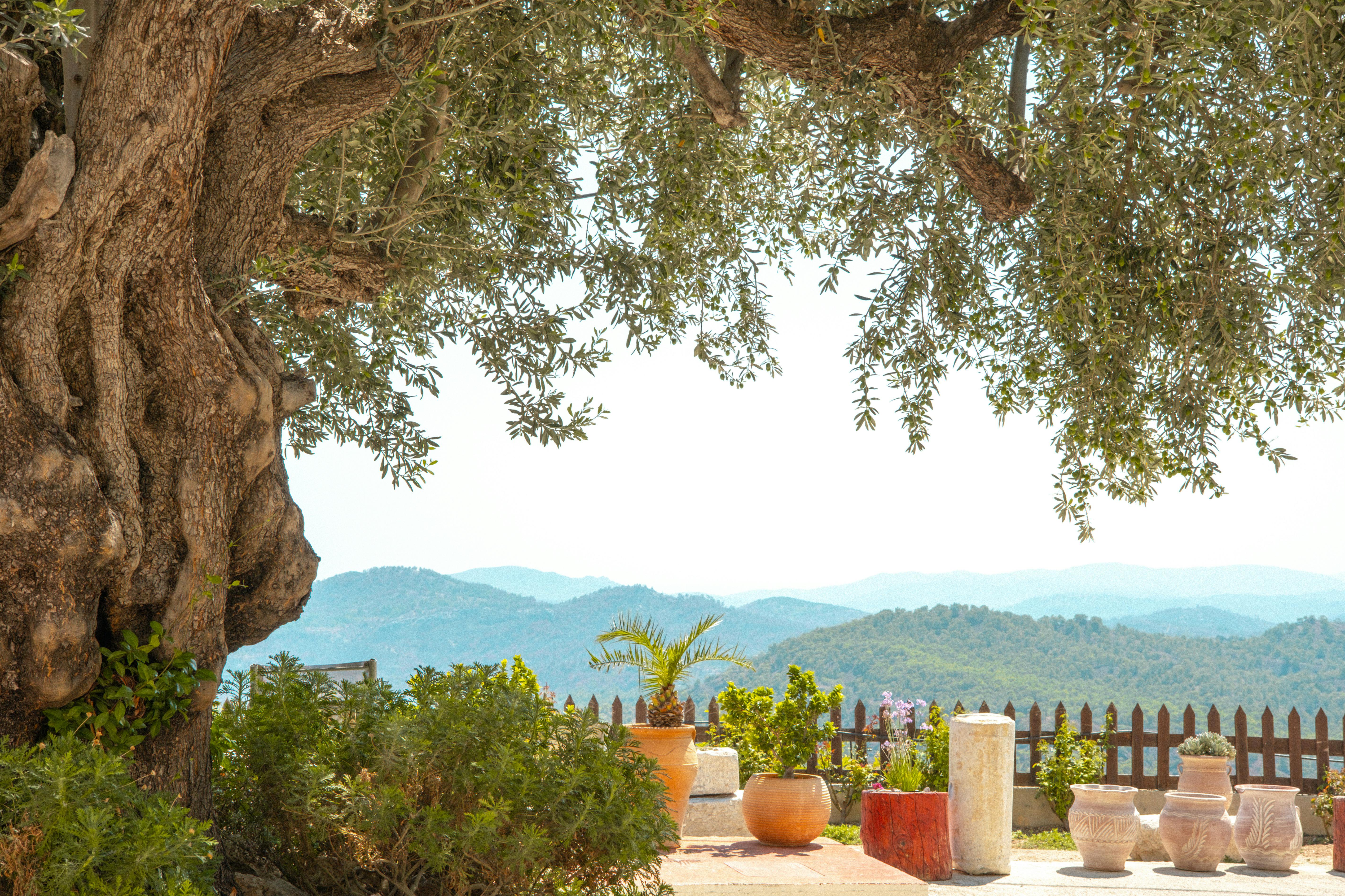Alaçatı Tatil Blog